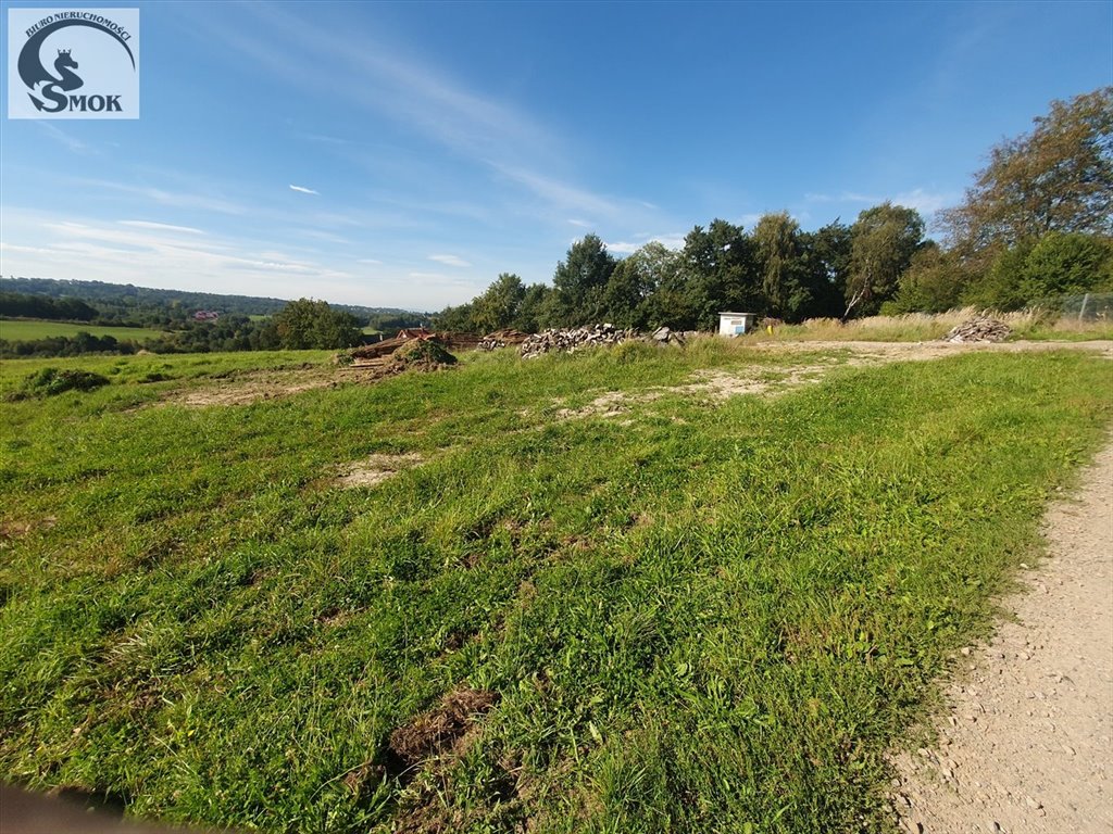 Działka rolna na sprzedaż Brzyczyna  3 500m2 Foto 2