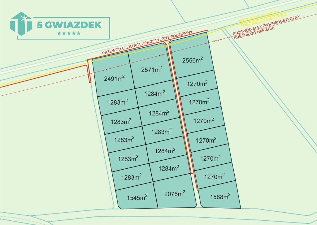 Działka inwestycyjna na sprzedaż Dalęcino  1 588m2 Foto 9