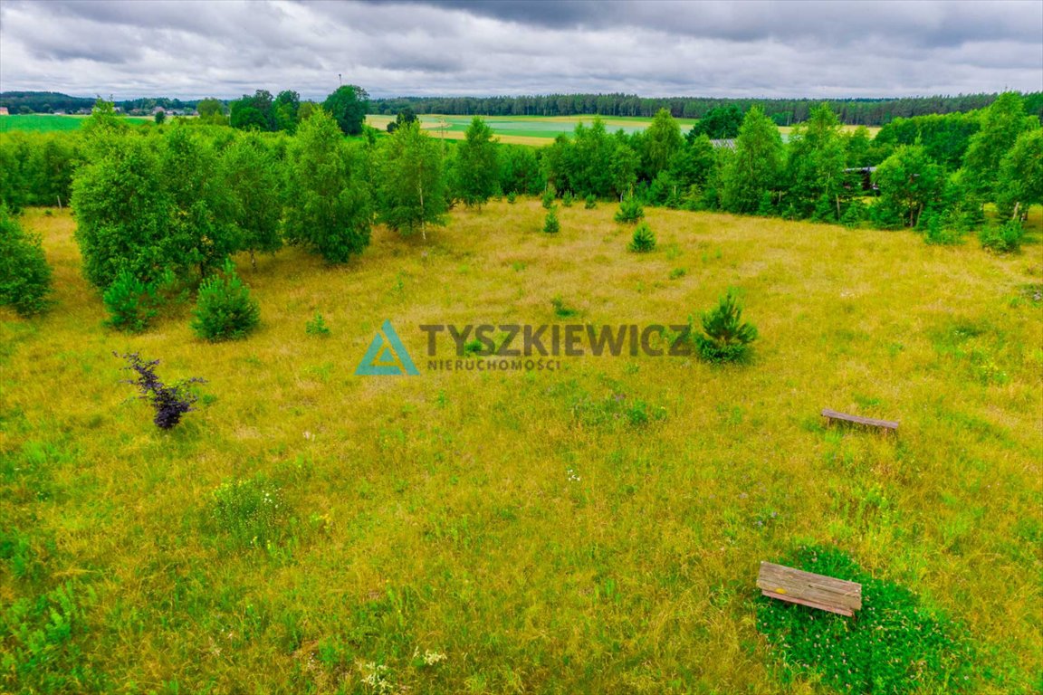 Działka rolna na sprzedaż Stary Barkoczyn  3 013m2 Foto 7