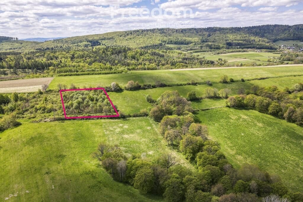 Działka rekreacyjna na sprzedaż Końskie  5 015m2 Foto 1