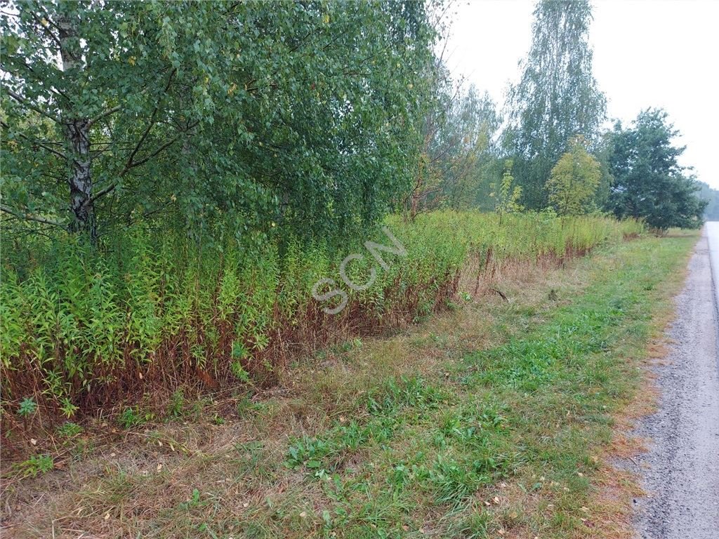 Działka budowlana na sprzedaż Wiązowna  1 200m2 Foto 3