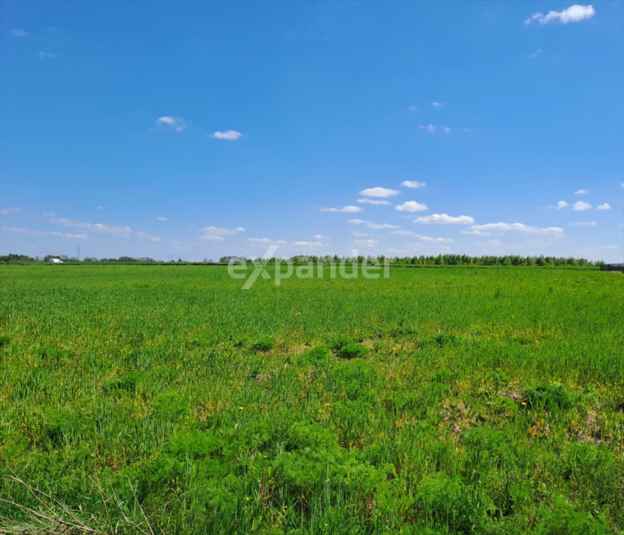 Działka budowlana na sprzedaż Biała, Biała Górna  1 000m2 Foto 3