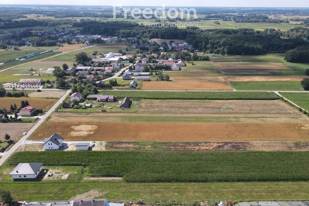 Działka inna na sprzedaż Borki-Sołdy  10 255m2 Foto 3