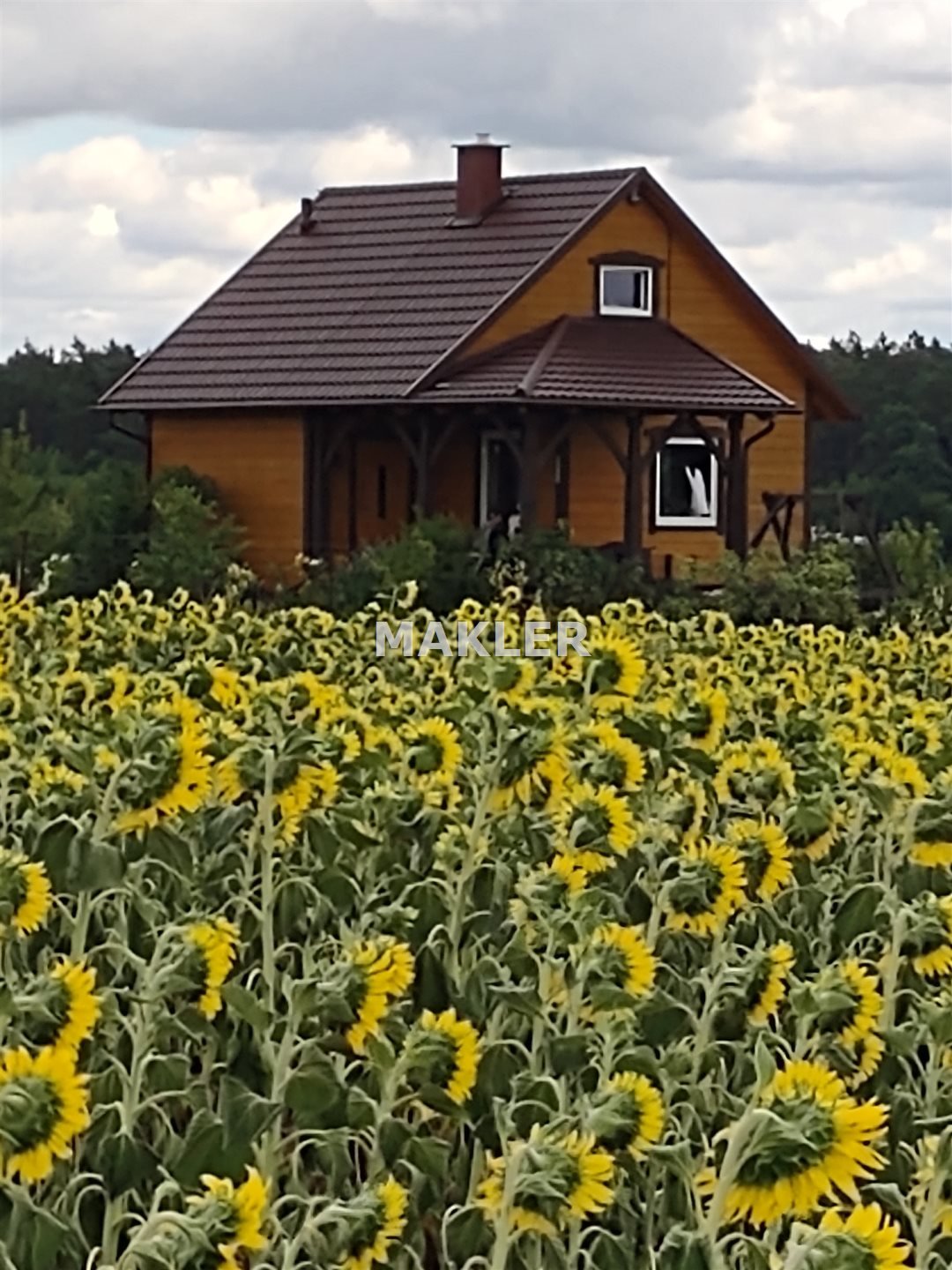 Dom na sprzedaż Glinki  80m2 Foto 1