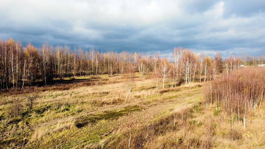 Działka budowlana na sprzedaż Bratkowice  818m2 Foto 2