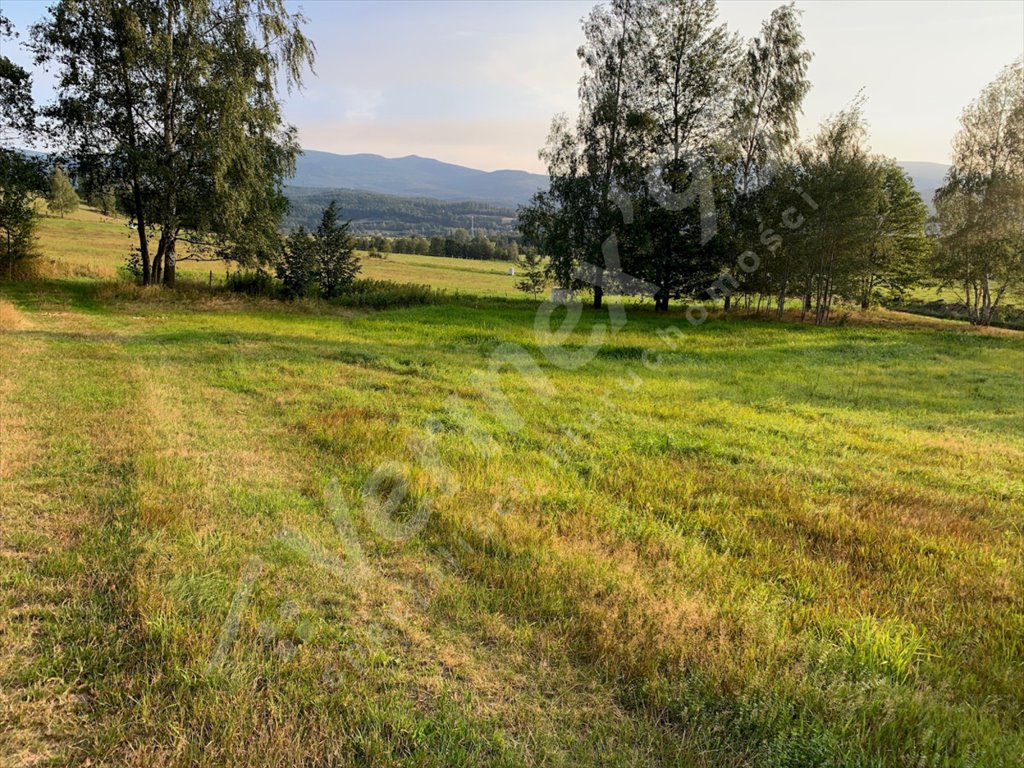 Działka budowlana na sprzedaż Karpacz  3 445m2 Foto 3