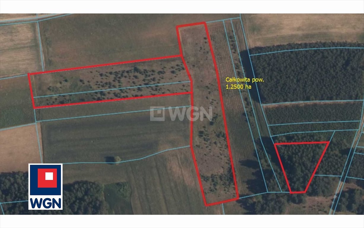 Działka rolna 1,25 ha w Kiedosy Szczepany, malownicza okolica Kiedosy Szczepany, Kiedosy Szczepany  12 500m2 Foto 1