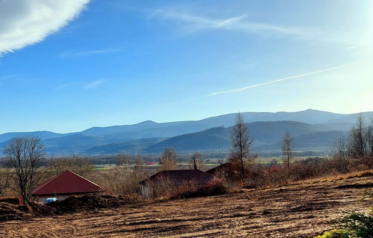 Działka budowlana na sprzedaż Wojcieszyce  1 482m2 Foto 2