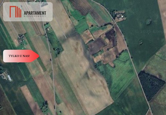 Działka 3000 m² w Przysiersku – spokój i natura Przysiersk  3 000m2 Foto 1