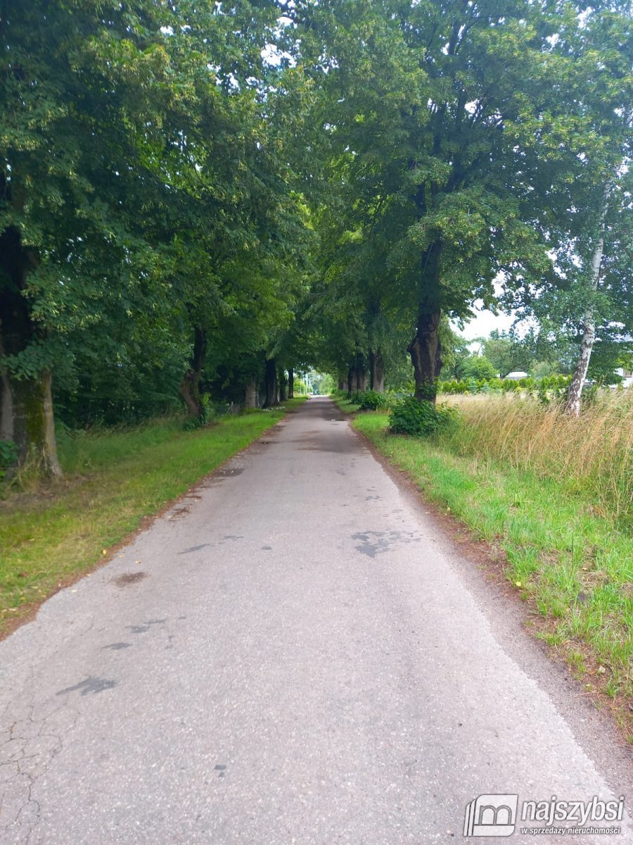Działka inna na sprzedaż Dargocice, Dargocice 28c  1 090m2 Foto 20