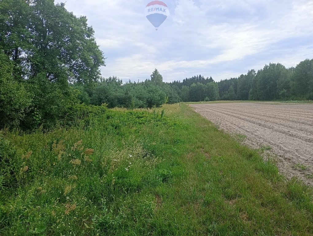 Działka leśna na sprzedaż Ruda  17 407m2 Foto 5