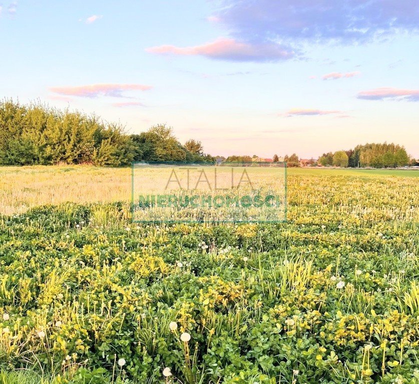 Polecam działki 4 000 m² pod zabudowę jednorodzinną w spokojnej okolicy Święcice  4 000m2 Foto 1