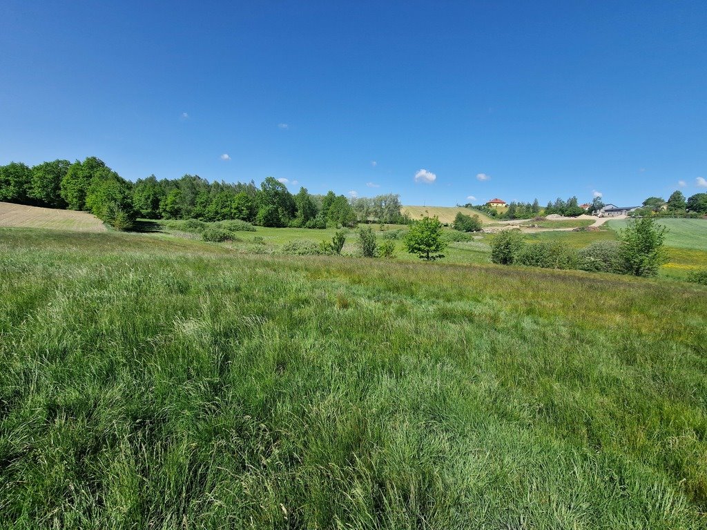 Działka budowlana na sprzedaż Szarłata, Spadzista  15 977m2 Foto 16