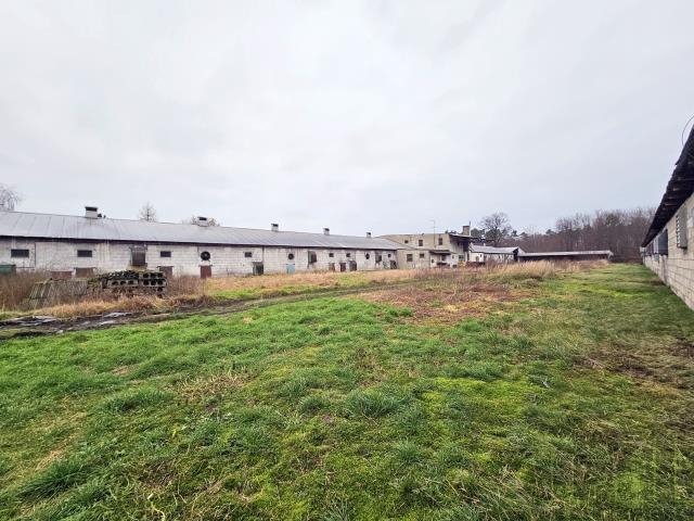 Lokal użytkowy na sprzedaż Wolsztyn, Kiełpińska  1 200m2 Foto 3