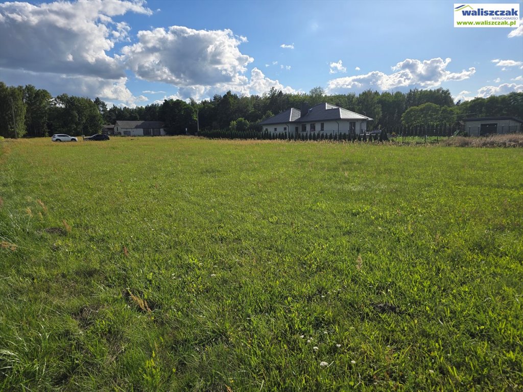 Działka budowlana na sprzedaż Adamów  10 331m2 Foto 1