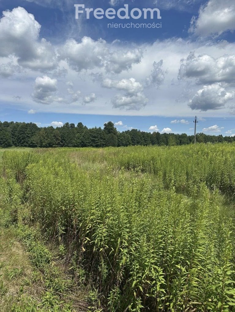 Działka 1000 m² z mediami i planem - zapraszam Murów  1 002m2 Foto 1