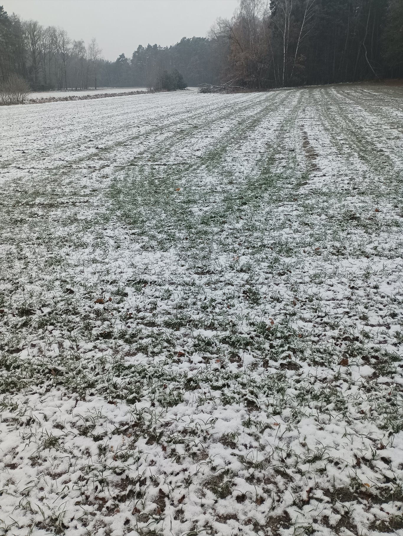 Działka rolna 1,3 ha z mediami, dojazd asfaltowy polecam Opatówek  13 000m2 Foto 1