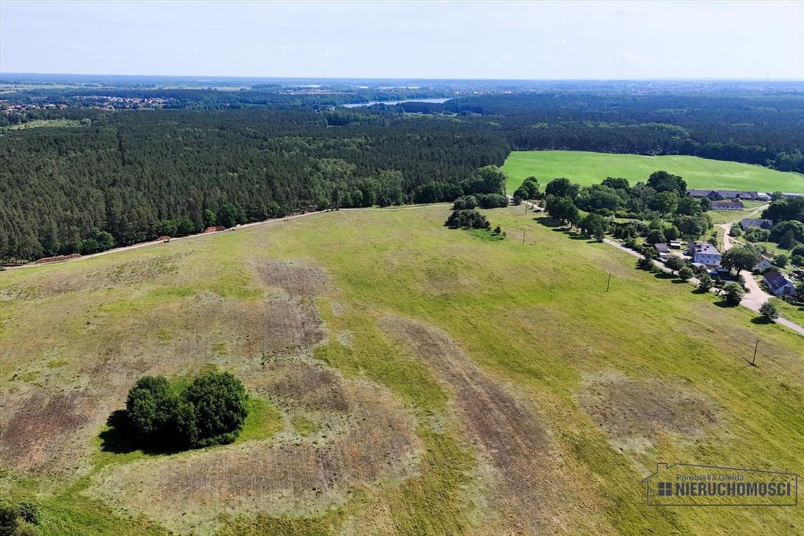 Działka siedliskowa na sprzedaż Dębowo  34 908m2 Foto 7