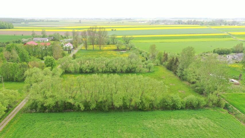 Działka rolna na sprzedaż Helenowo  6 700m2 Foto 4