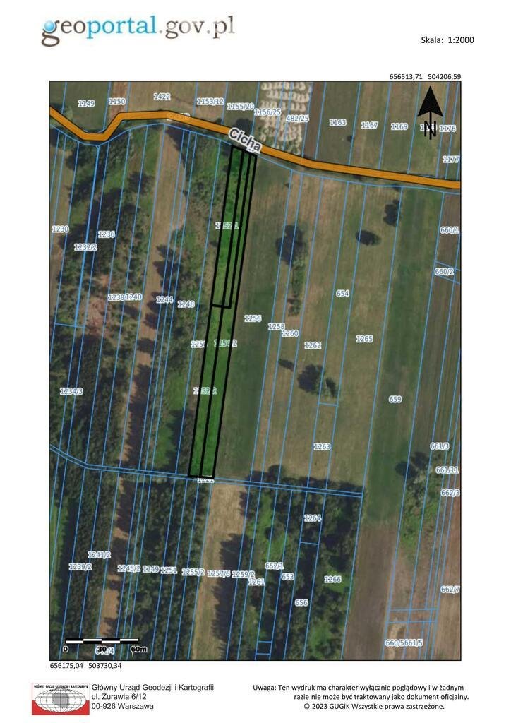 Działka inna na sprzedaż Dobczyn, Cicha  5 500m2 Foto 1