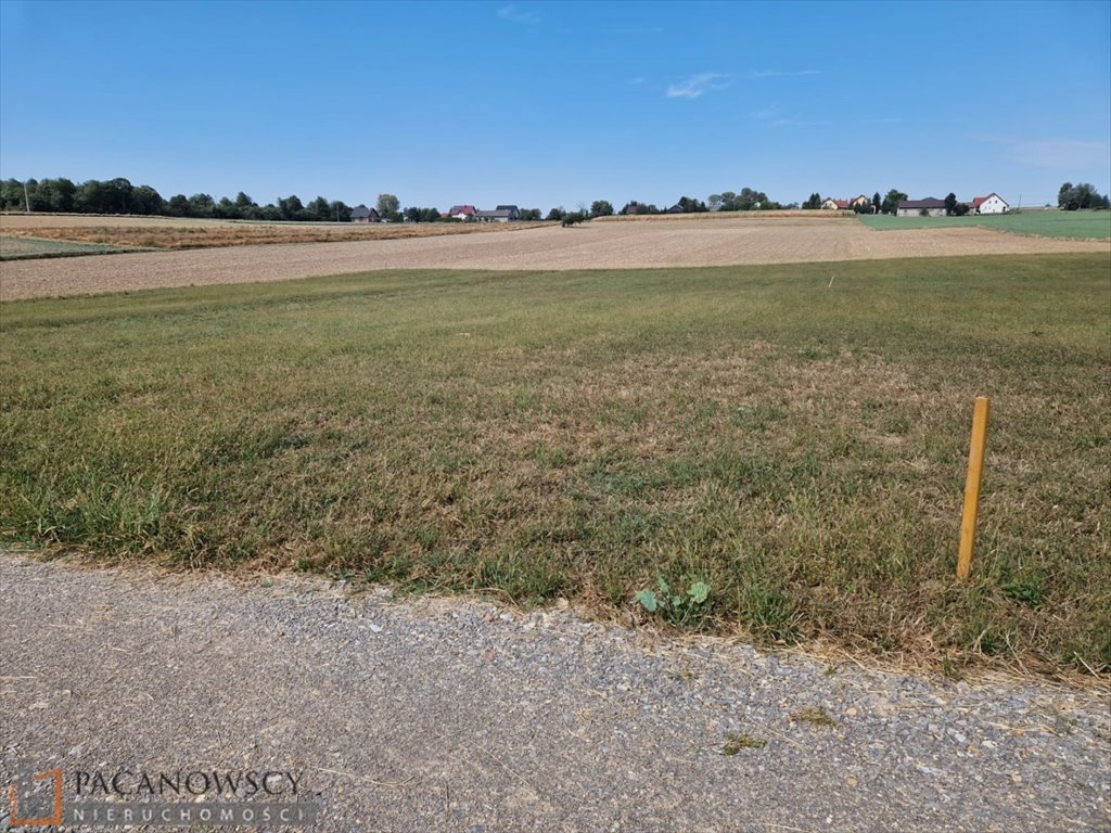 Działka budowlana na sprzedaż Sieciechowice  1 000m2 Foto 3