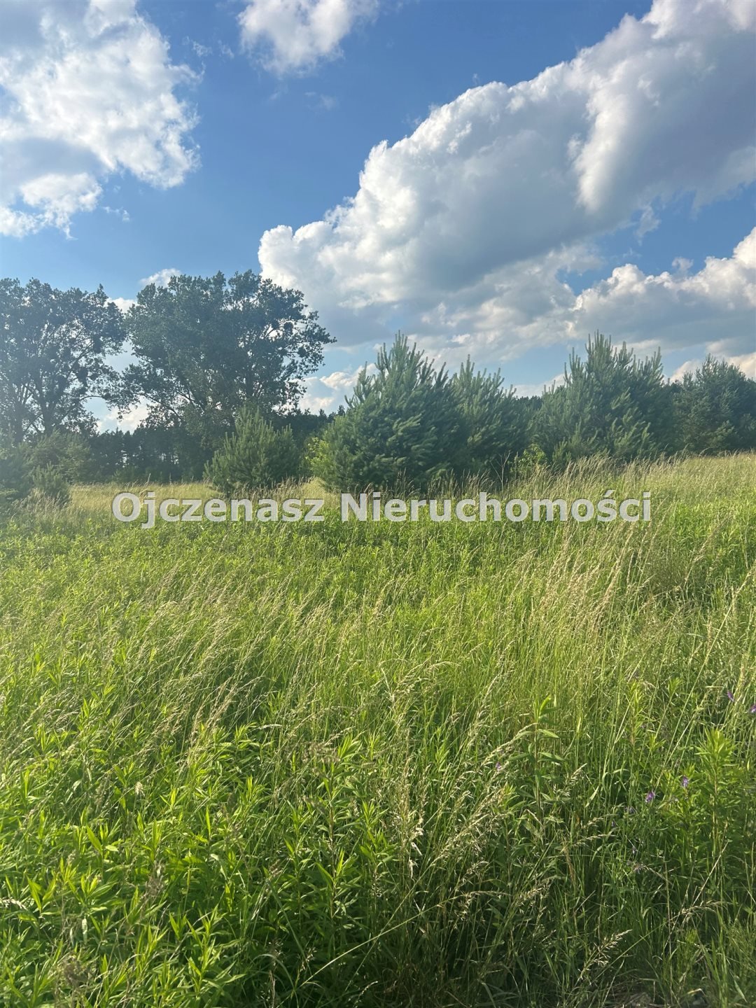 Działka inna na sprzedaż Zławieś Mała  3 224m2 Foto 1