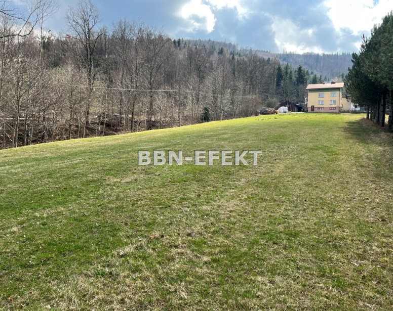 Działka budowlana na sprzedaż Brenna  5 900m2 Foto 2