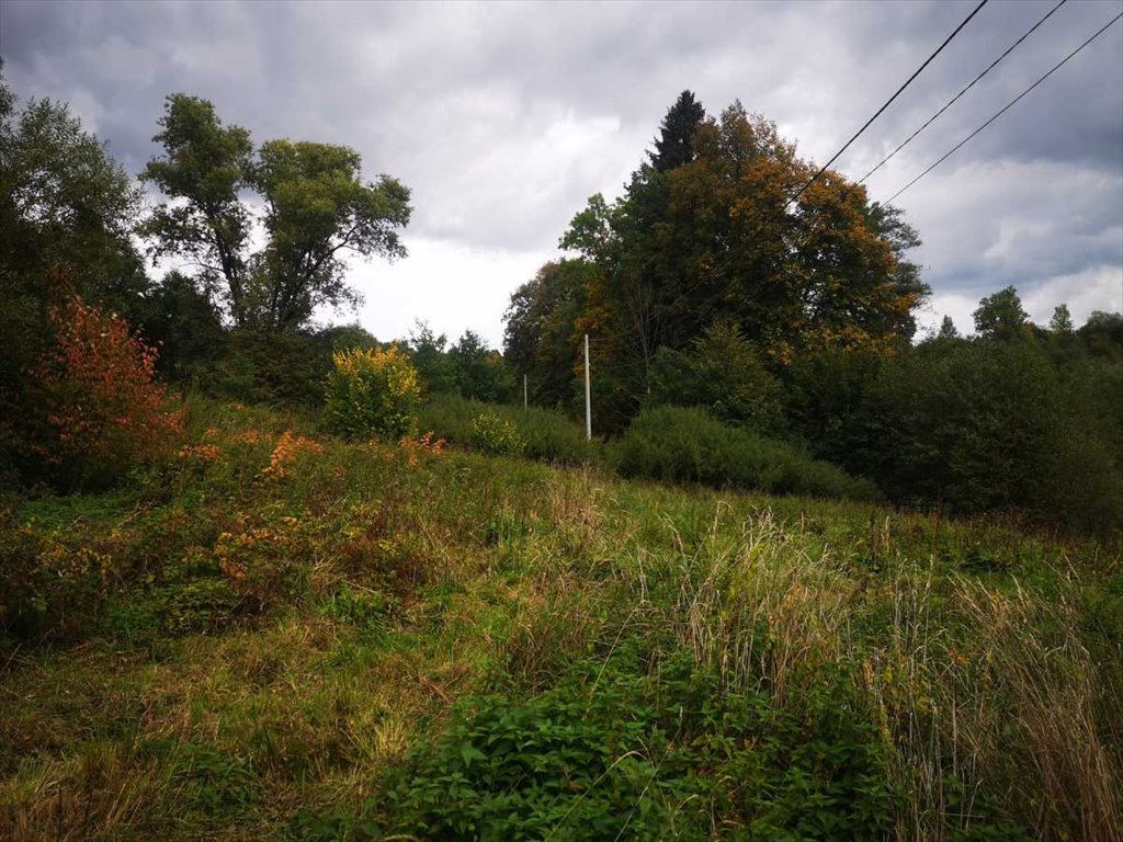 Działka inna na sprzedaż Długopole Górne  2 700m2 Foto 2