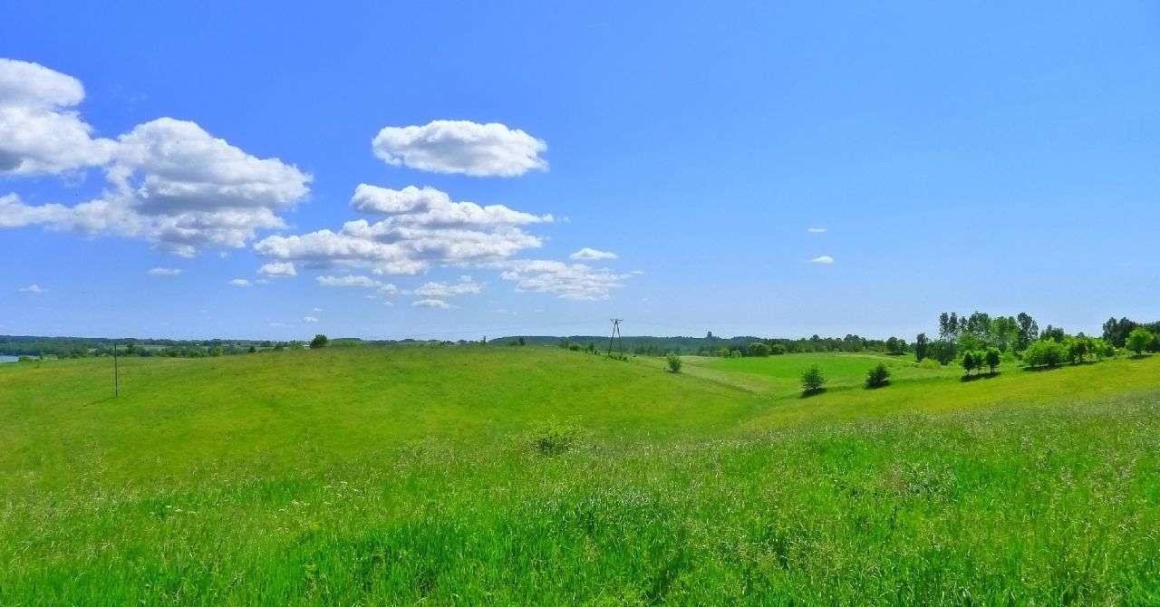 Działka rolna na sprzedaż Szelment  10 000m2 Foto 3