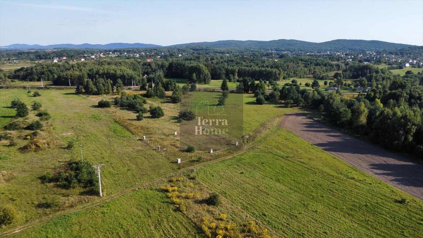 Działka budowlana na sprzedaż Piekoszów  1 111m2 Foto 6