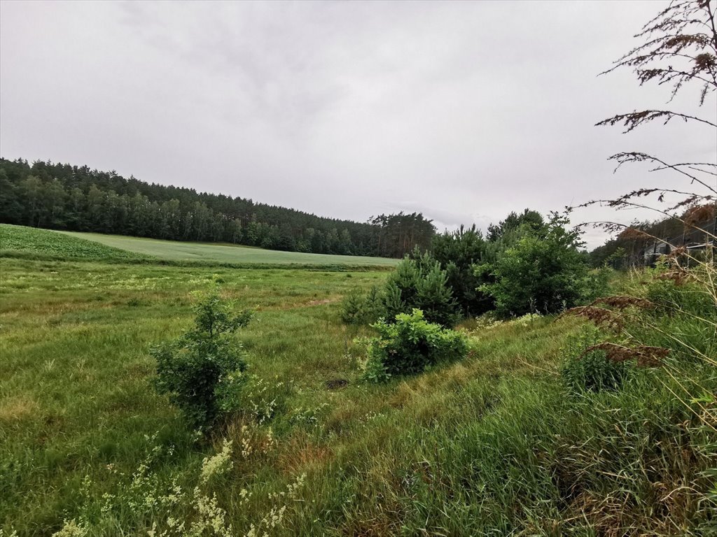 Działka budowlana na sprzedaż Międzybłocie, Międzybłocie  3 008m2 Foto 10