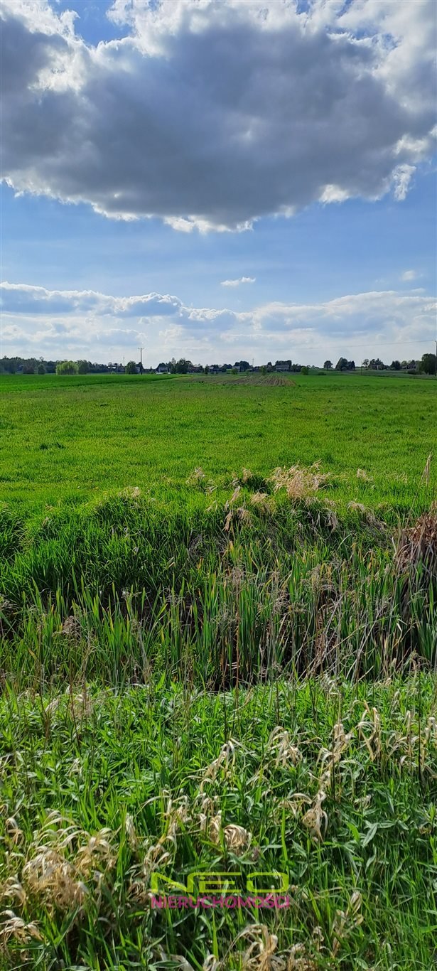 Działka rolna 4736 m² w Opatowie, potencjał inwestycyjny - polecam! Opatów  4 736m2 Foto 1