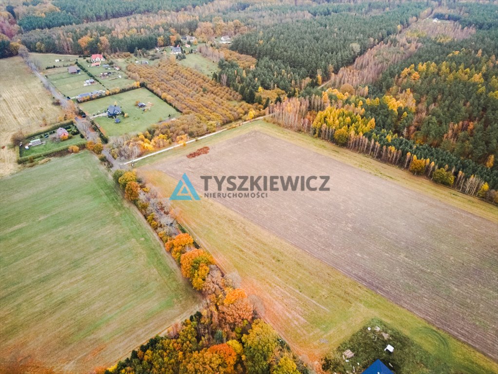 Działka siedliskowa na sprzedaż Szczenurze, Turystyczna  3 615m2 Foto 4