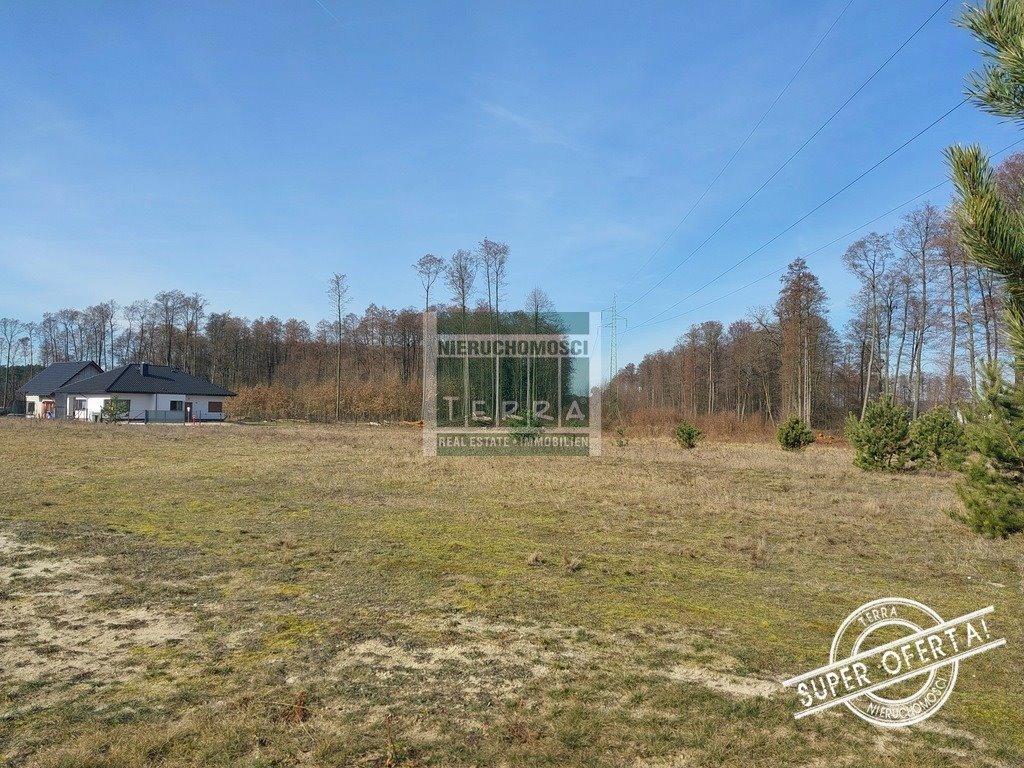 Działka budowlana 899 m² w otoczeniu lasu i nowej zabudowy Płoty  899m2 Foto 1
