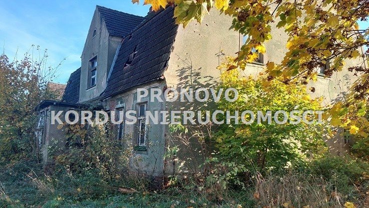 Działka budowlana na sprzedaż Żelisławiec  6 462m2 Foto 7