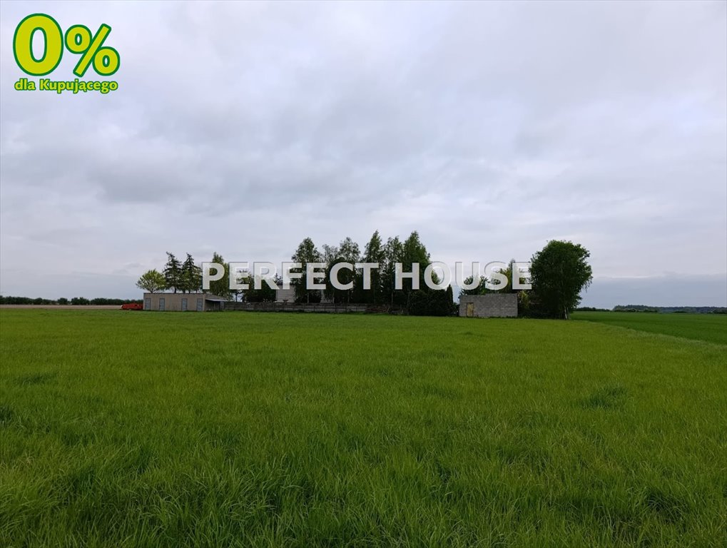 Sprzedam siedlisko hippiczne z własnym ujęciem i 2 łąkami Czerlejno, Mikuszyn  13 598m2 Foto 1