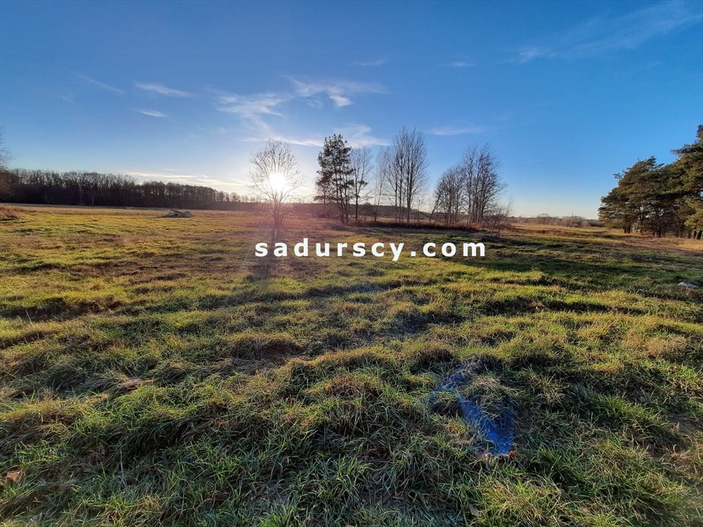 Działka budowlana na sprzedaż Baniocha  3 539m2 Foto 2