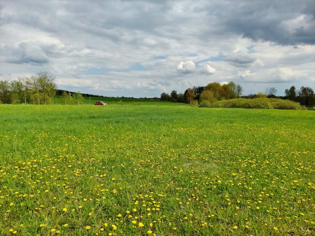 Działka rolna na sprzedaż Jeziorko, Jeziorko  3 018m2 Foto 11