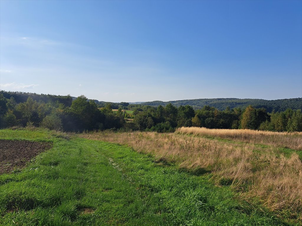 Działka rolna na sprzedaż Faliszówka  1 200m2 Foto 6