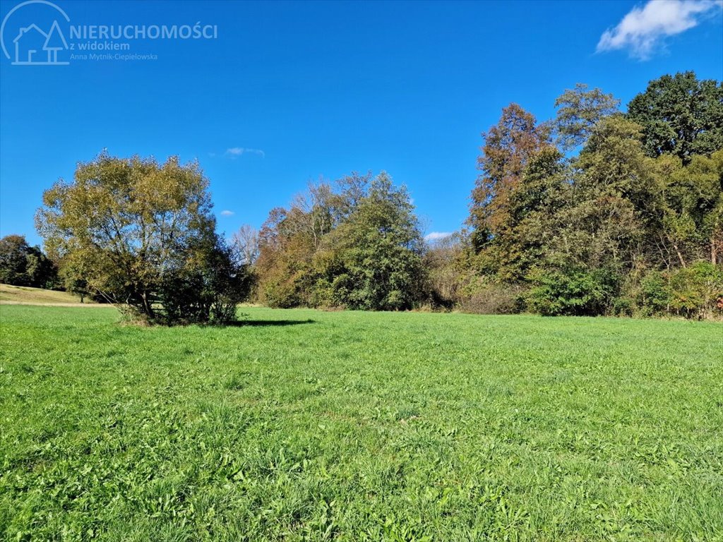 Działka rolna na sprzedaż Strzeszyn  3 900m2 Foto 12