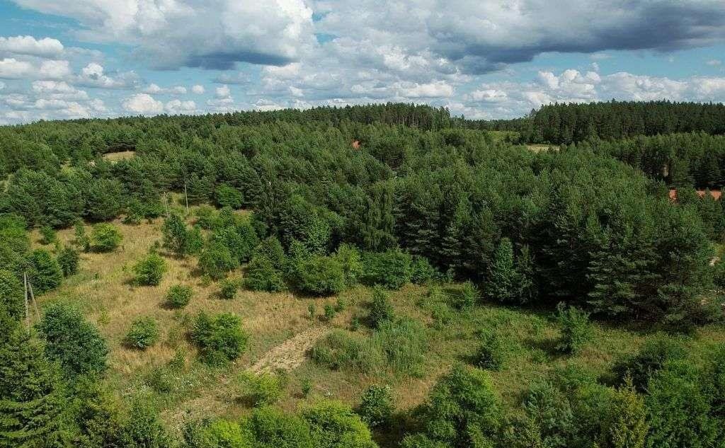 Działka budowlana na sprzedaż Cierzpięty  1 002m2 Foto 17