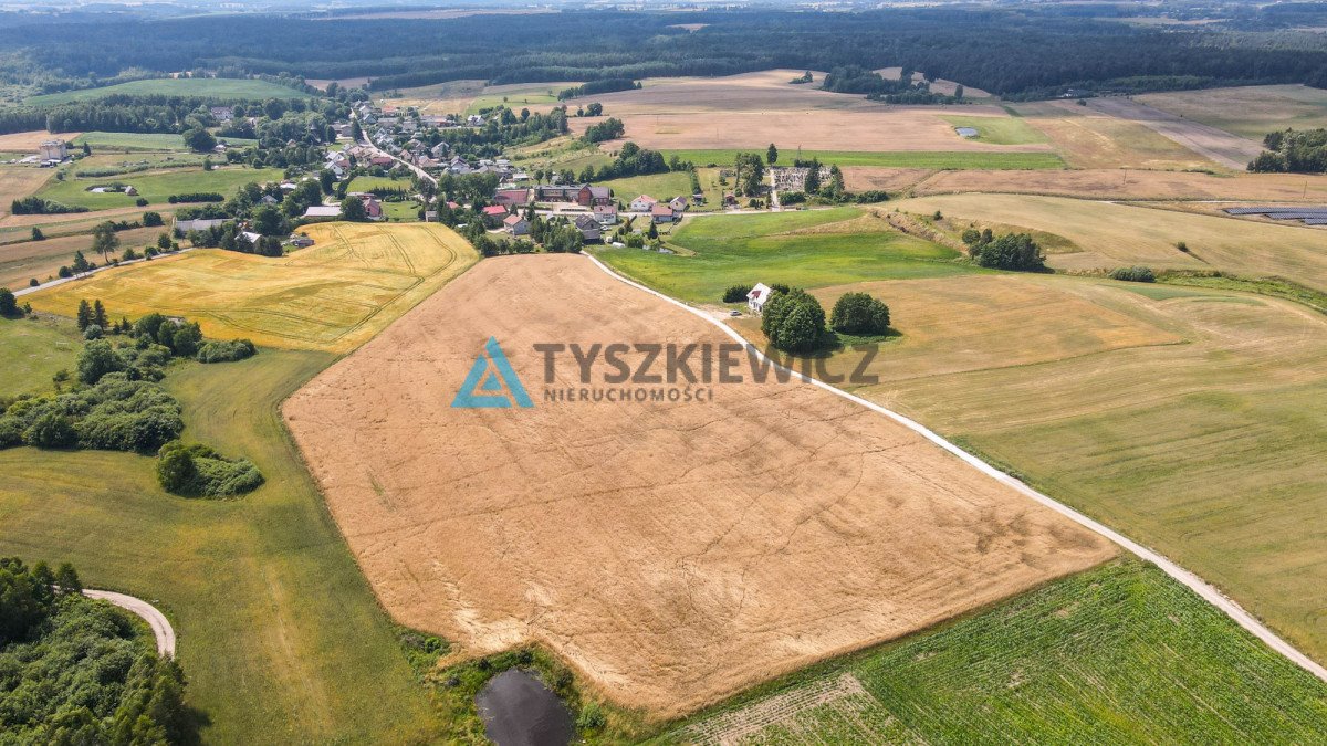 Działka rolna na sprzedaż Szczodrowo  38 300m2 Foto 11