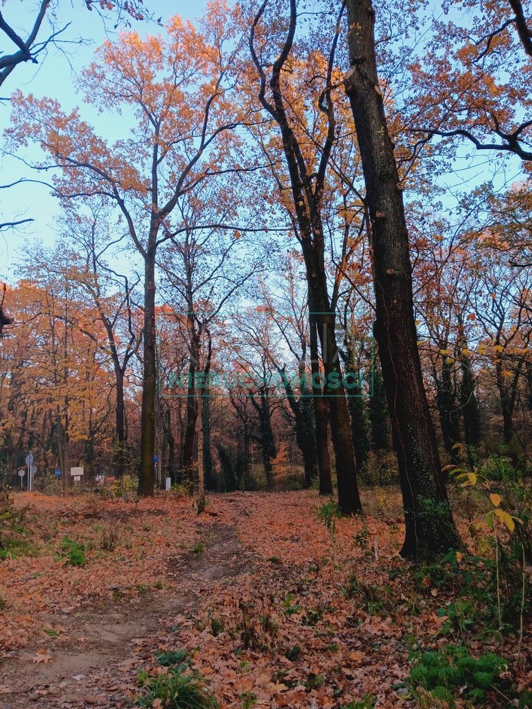 Działka budowlana na sprzedaż Podkowa Leśna  1 754m2 Foto 1