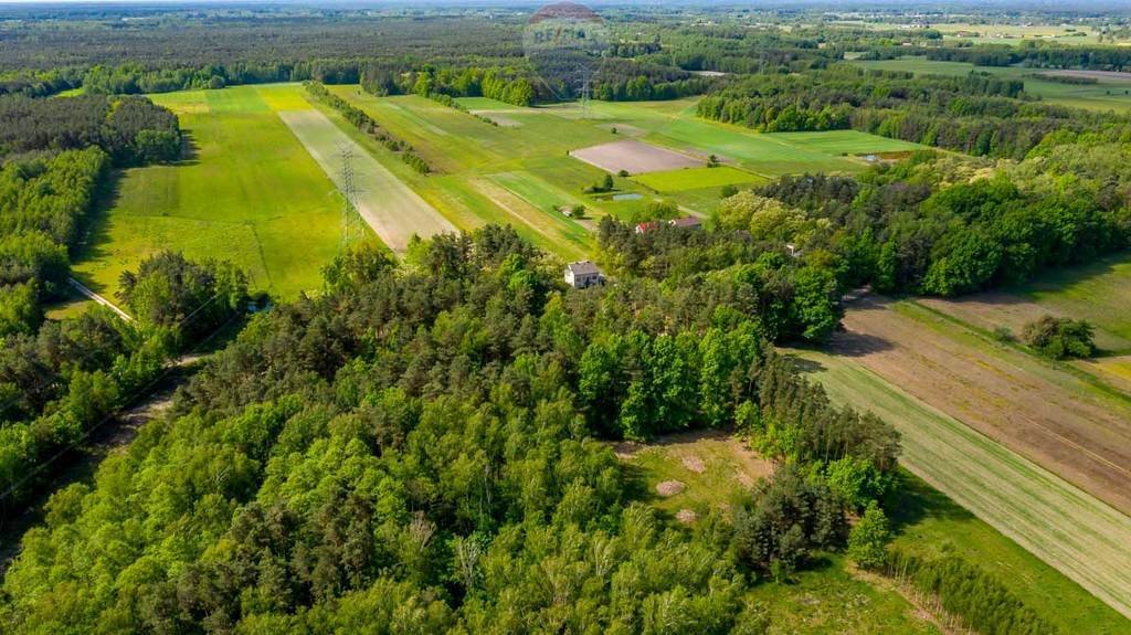 Działka rolna na sprzedaż Suchowizna  3 100m2 Foto 6