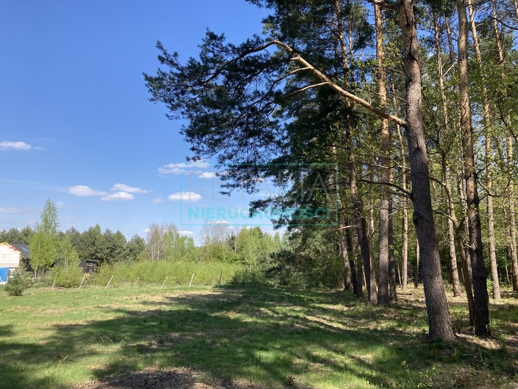 Działka leśna z prawem budowy na sprzedaż Strzeniówka  2 000m2 Foto 5