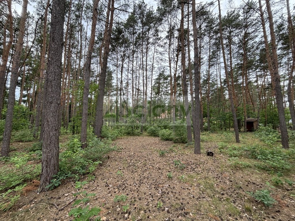 Działka 1789 m² z mediami i dużym potencjałem rozbudowy Nowe Załubice  1 789m2 Foto 1