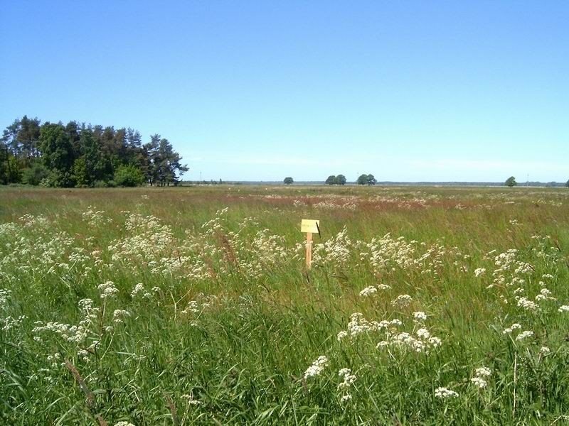 Działka inna na sprzedaż Krzemienica, Krzemienica 1 340m2 Foto 1 Działka inna na sprzedaż Krzemienica, Krzemienica 1 340m2 Foto 1