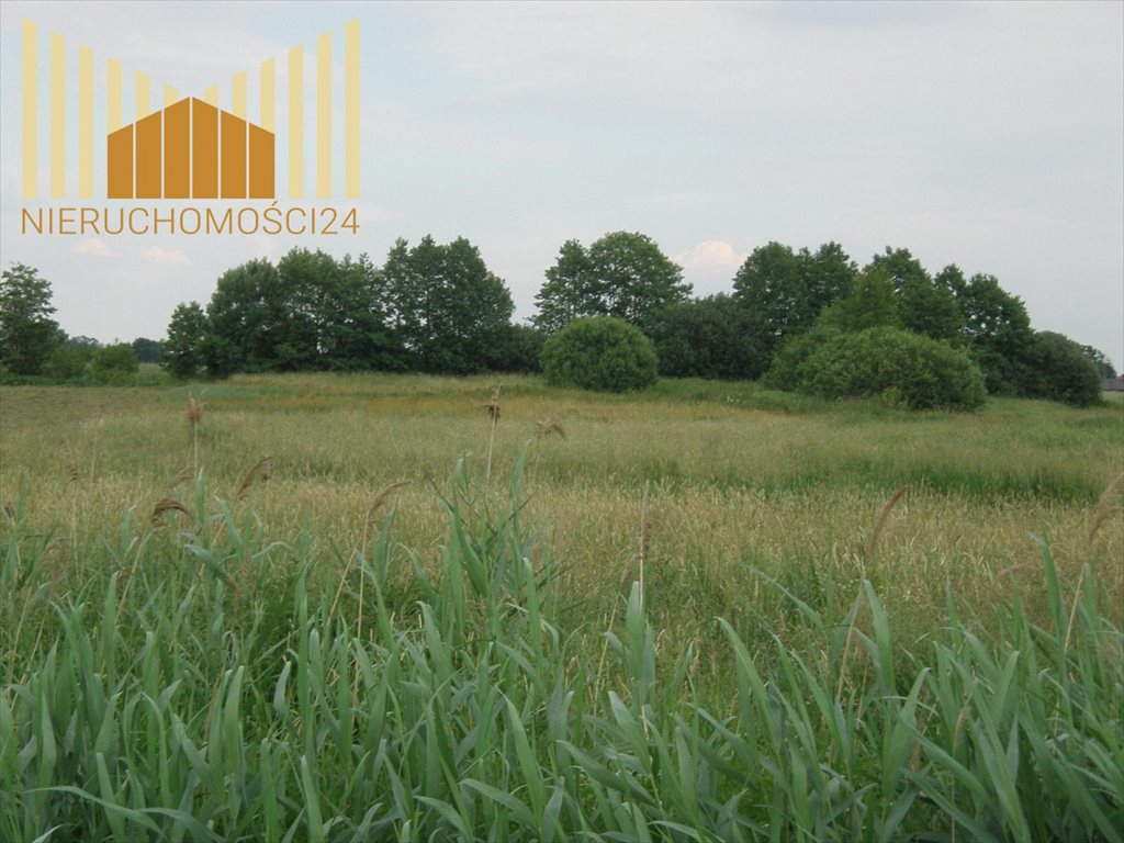 Zapraszam do zakupu działki 9300 m² z rzeką, idealnej pod rekreację Siennica, Siennica  9 300m2 Foto 1