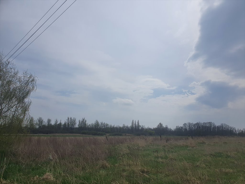 Zdjęcie 2