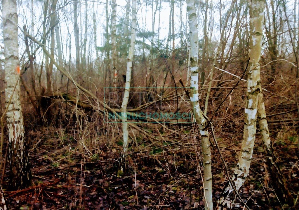 Działka budowlana na sprzedaż Osowiec  2 870m2 Foto 2